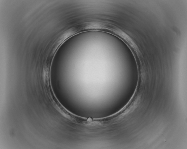 X0000113321337200909141347