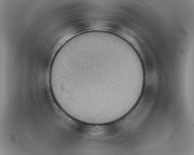 X0000113321338200909141347
