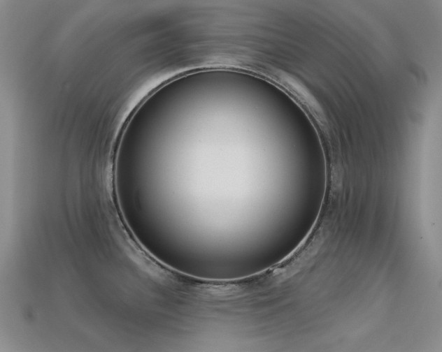 X0000113321340200909141347