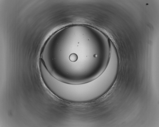 X0000113321342200909141347