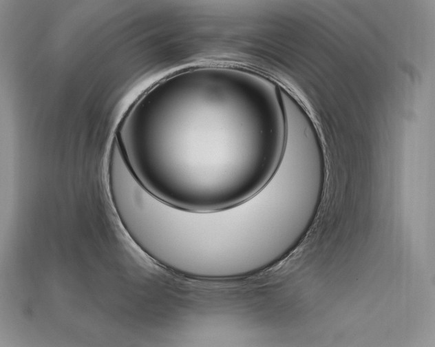 X0000113321344200909141347