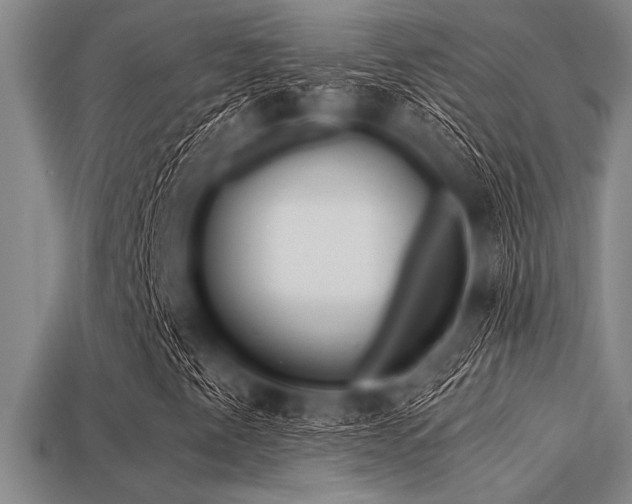 X0000113321345200909141347
