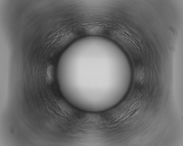 X0000113321346200909141347