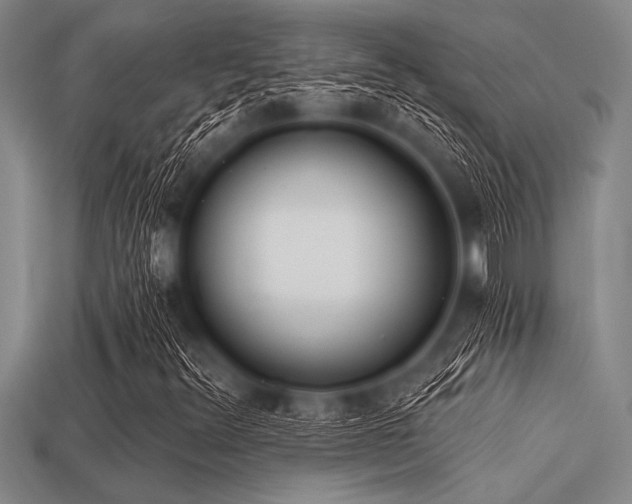 X0000113321348200909141347
