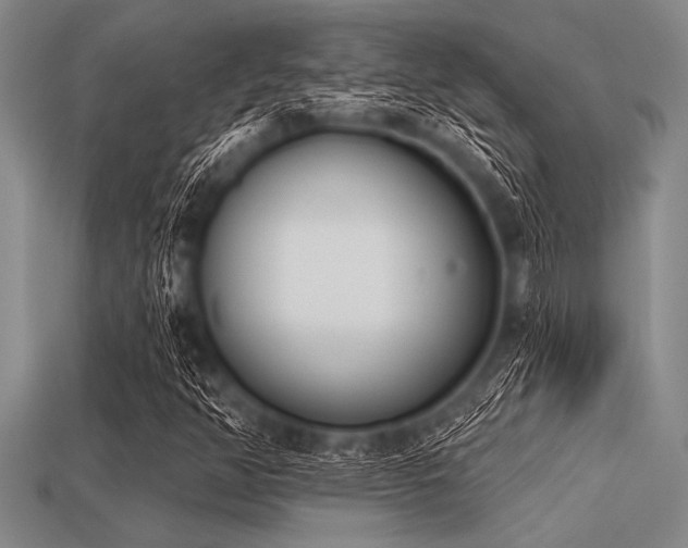X0000113321350200909141347