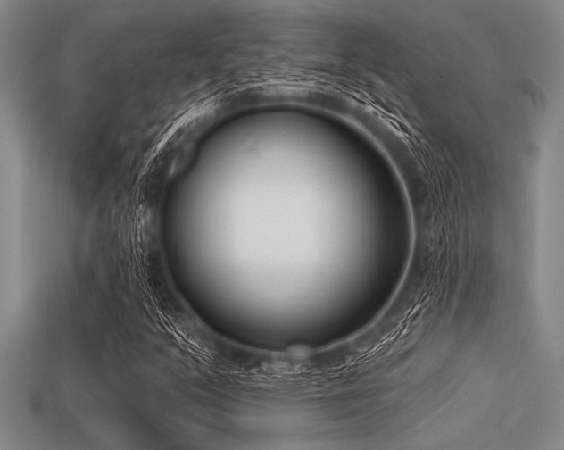 X0000113321351200909141347
