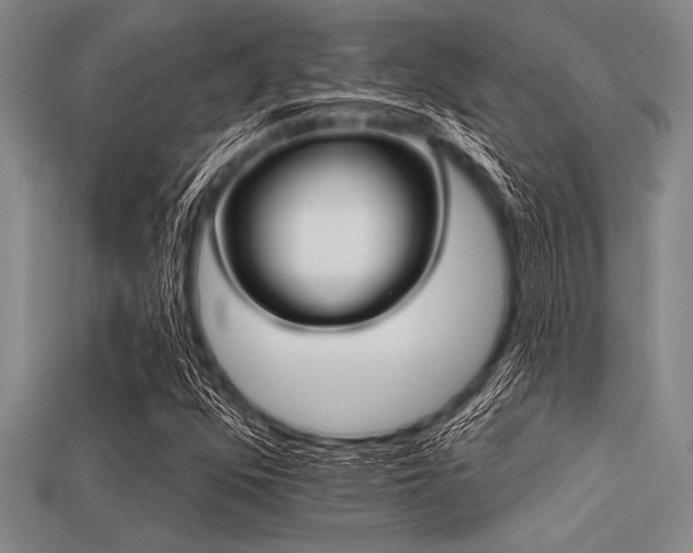 X0000113321352200909141347