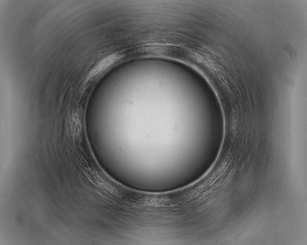X0000113321354200909141347