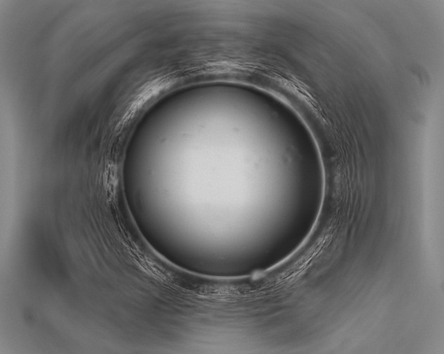 X0000113321355200909141347