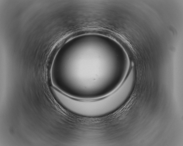 X0000113321356200909141347