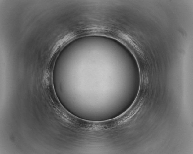 X0000113321357200909141346