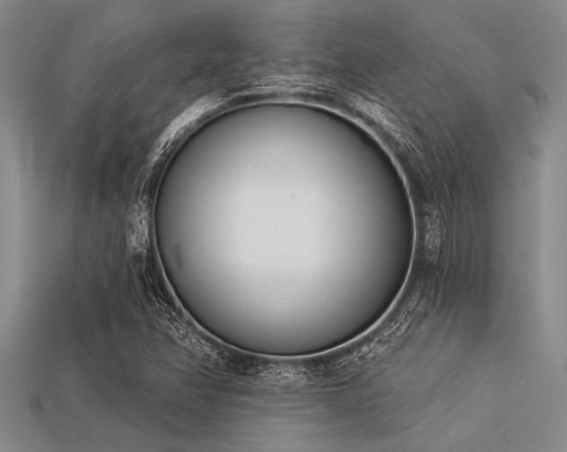 X0000113321358200909141346