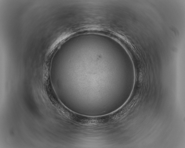 X0000113321359200909141346