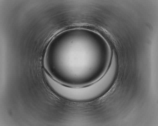 X0000113321361200909141346