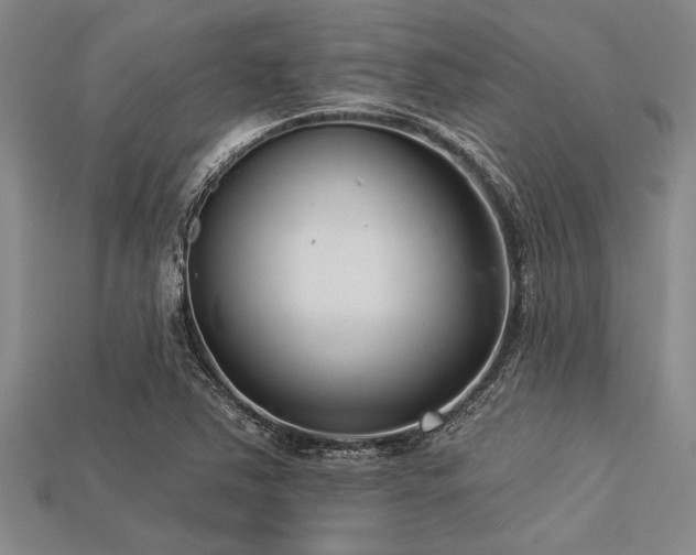 X0000113321363200909141346