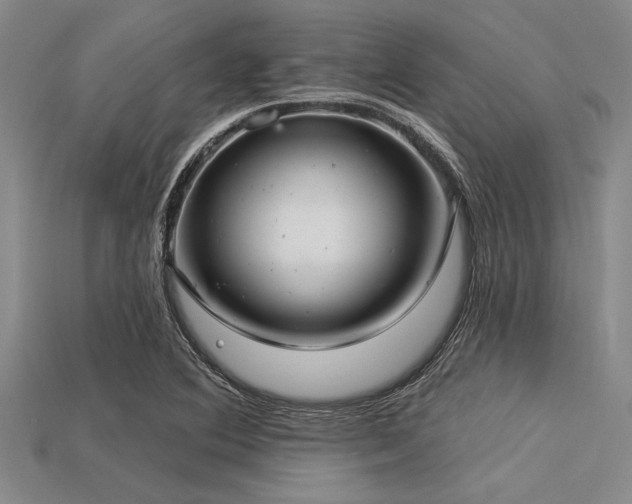 X0000113321364200909141346