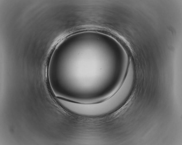 X0000113321365200909141346