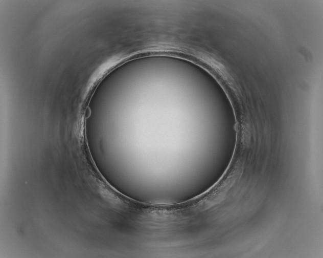 X0000113321366200909141346