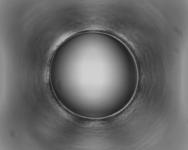 X0000113321367200909141346