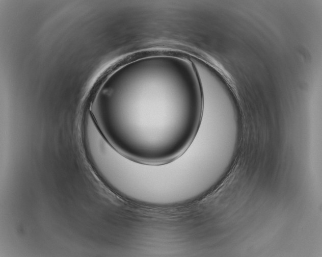 X0000113321368200909141346