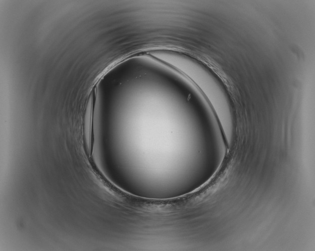 X0000113321369200909141346