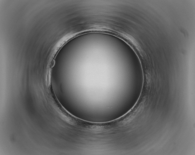 X0000113321371200909141346