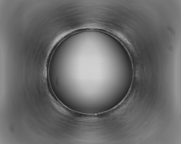 X0000113321372200909141346