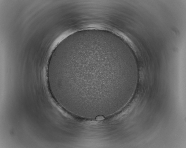 X0000113321373200909141346