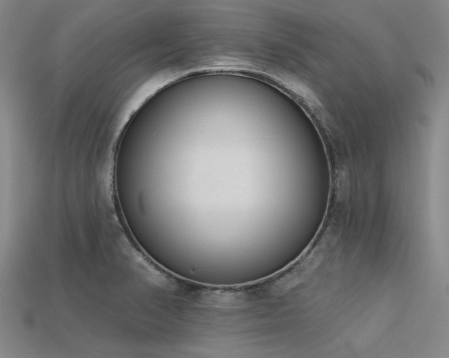 X0000113321374200909141346