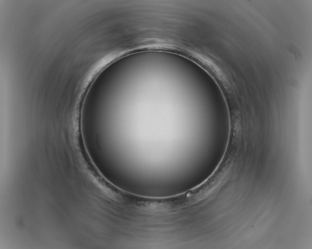 X0000113321375200909141346