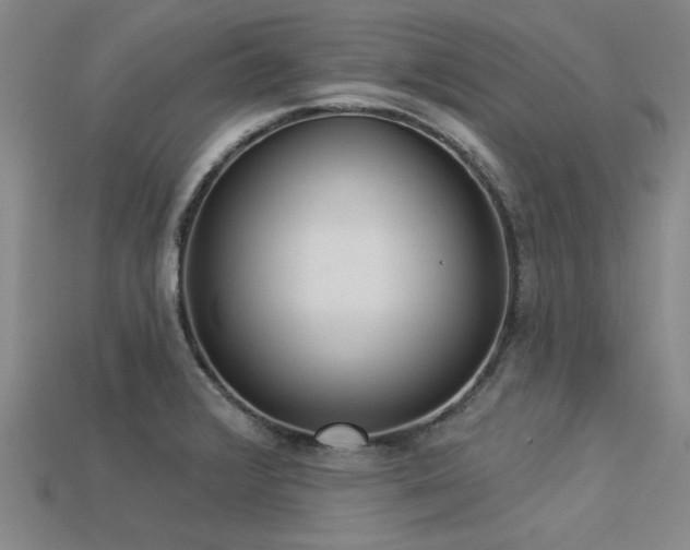 X0000113321376200909141346