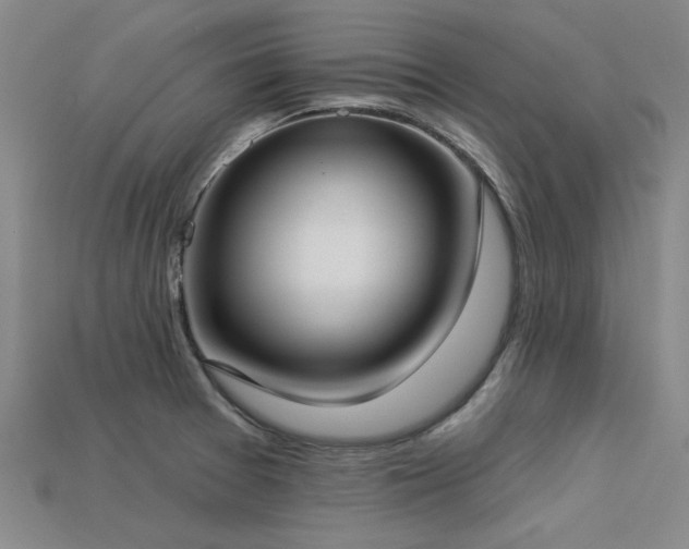 X0000113321377200909141346