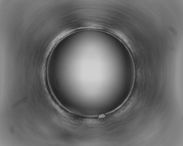 X0000113321379200909141346