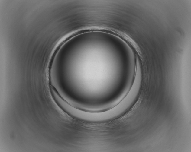 X0000113321380200909141346