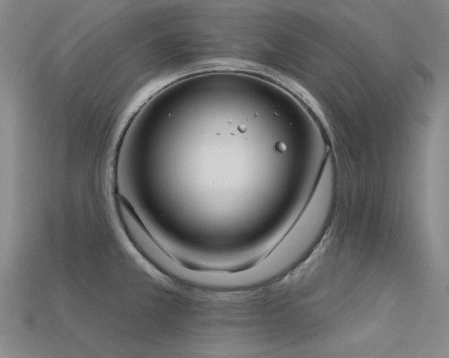 X0000113321381200909141346