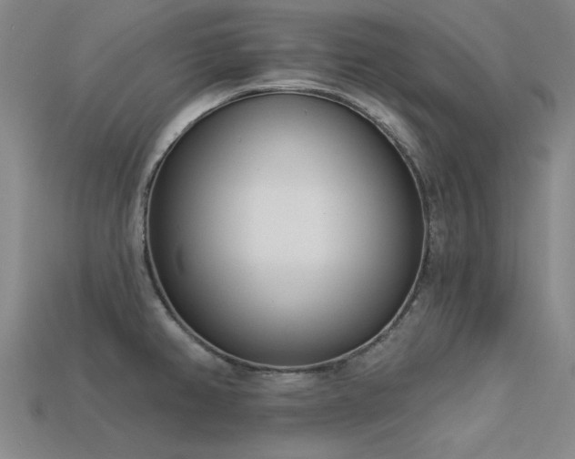 X0000113321382200909141346