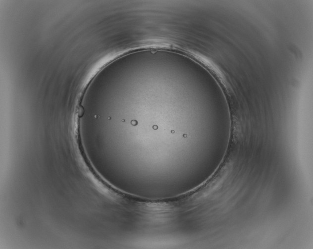 X0000113321383200909141346