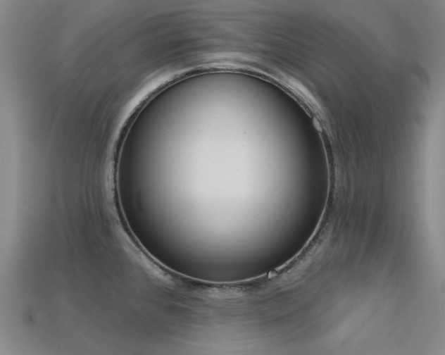 X0000113321384200909141346