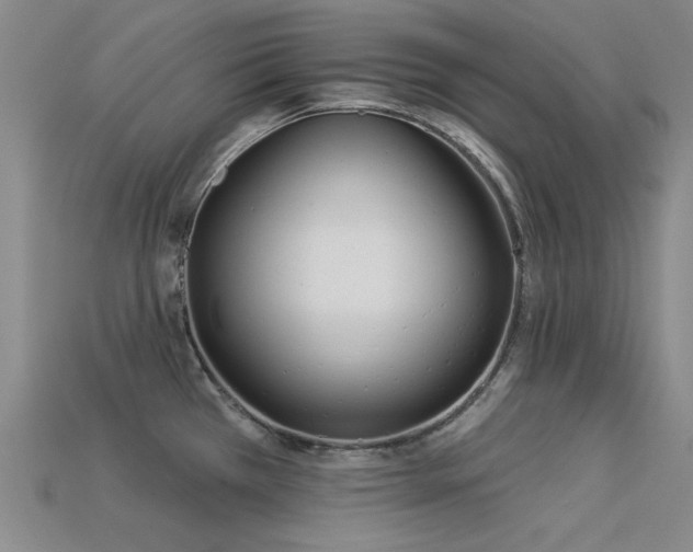 X0000113321385200909141346