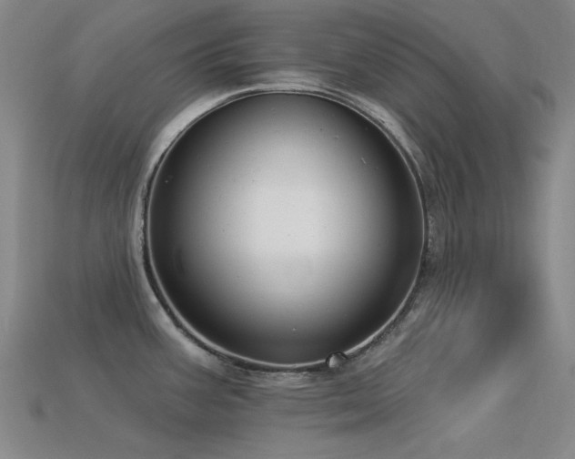 X0000113321387200909141346
