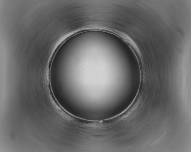 X0000113321388200909141346