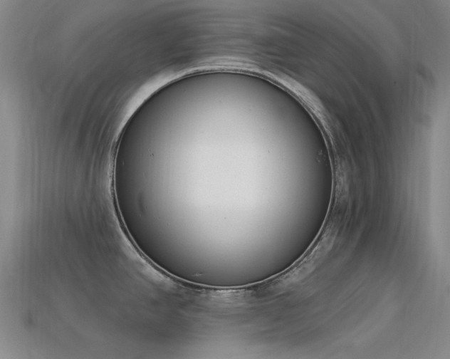 X0000113321390200909141346