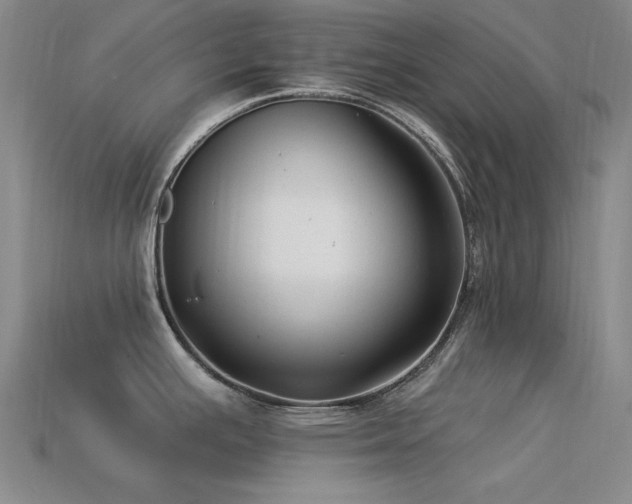 X0000113321391200909141346