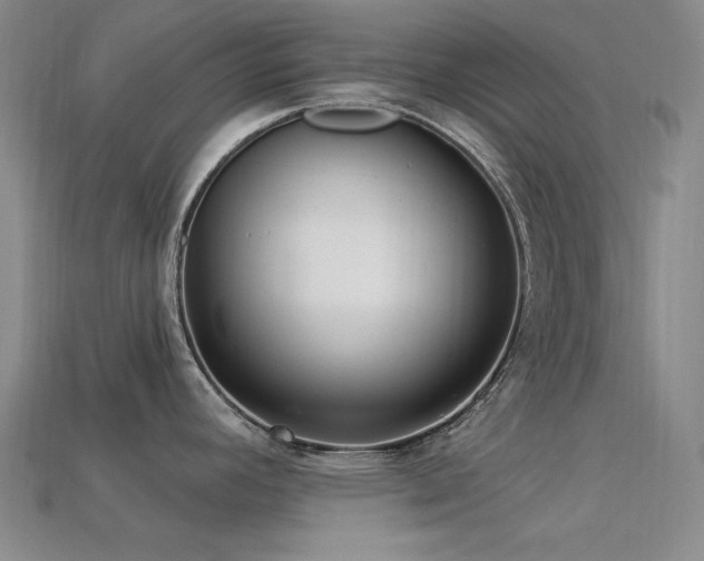 X0000113321392200909141346