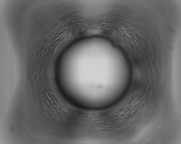 X0000113321393200909141345