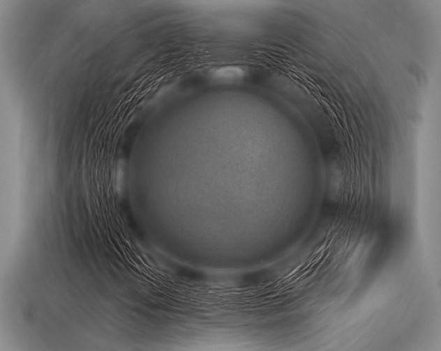 X0000113321394200909141345