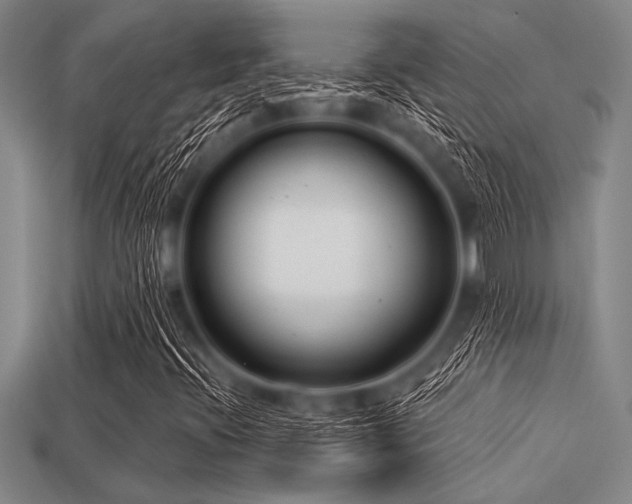 X0000113321396200909141345
