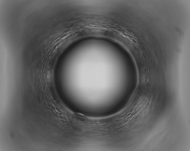 X0000113321397200909141345