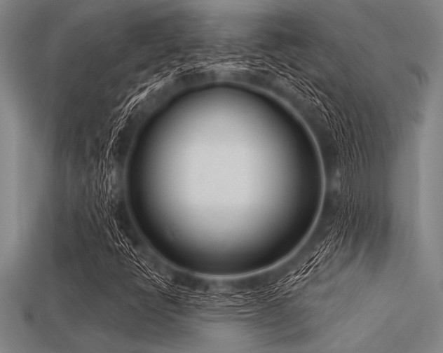X0000113321398200909141345