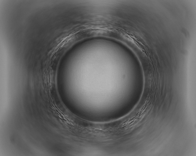X0000113321399200909141345